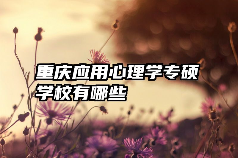 重庆应用心理学专硕学校有哪些