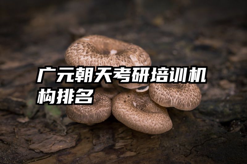 广元朝天考研培训机构排名
