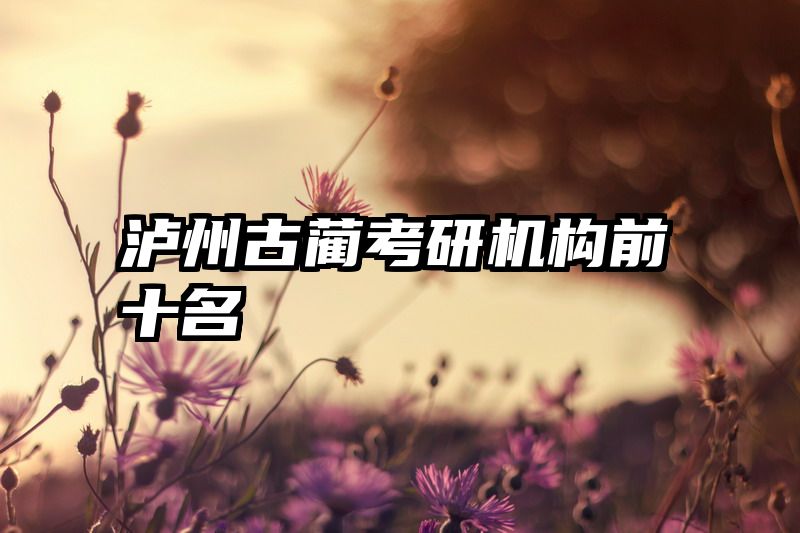 泸州古蔺考研机构前十名