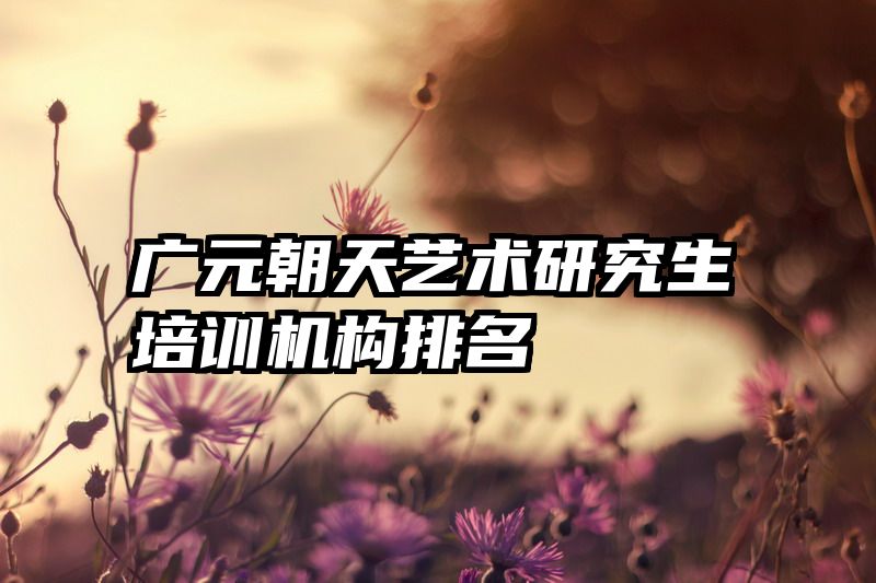 广元朝天艺术研究生培训机构排名