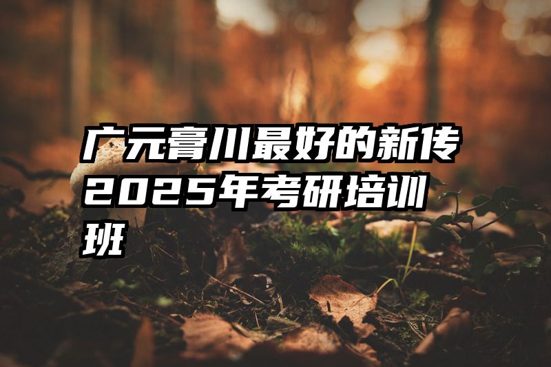 广元膏川最好的新传2025年考研培训班