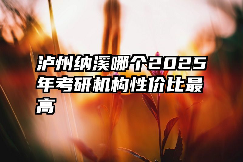 泸州纳溪哪个2025年考研机构性价比最高