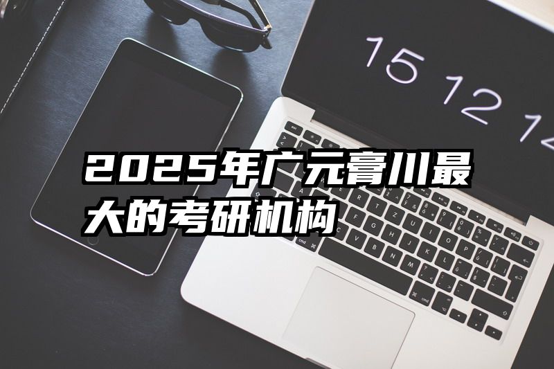 2025年广元膏川最大的考研机构