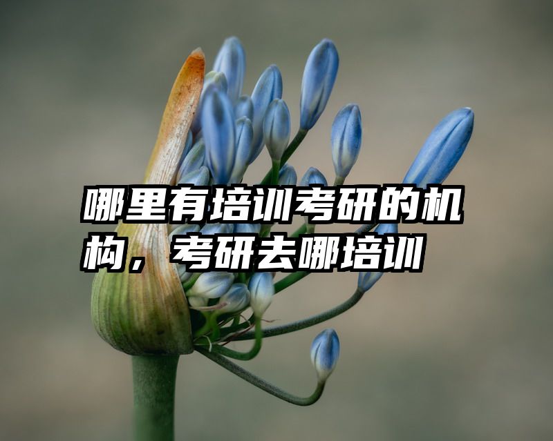 哪里有培训考研的机构，考研去哪培训