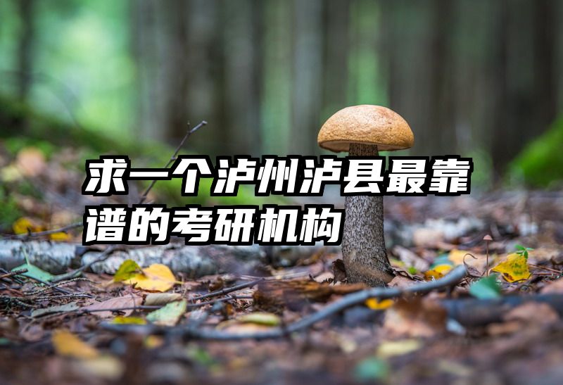 求一个泸州泸县最靠谱的考研机构