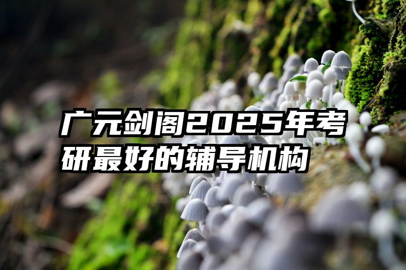 广元剑阁2025年考研最好的辅导机构