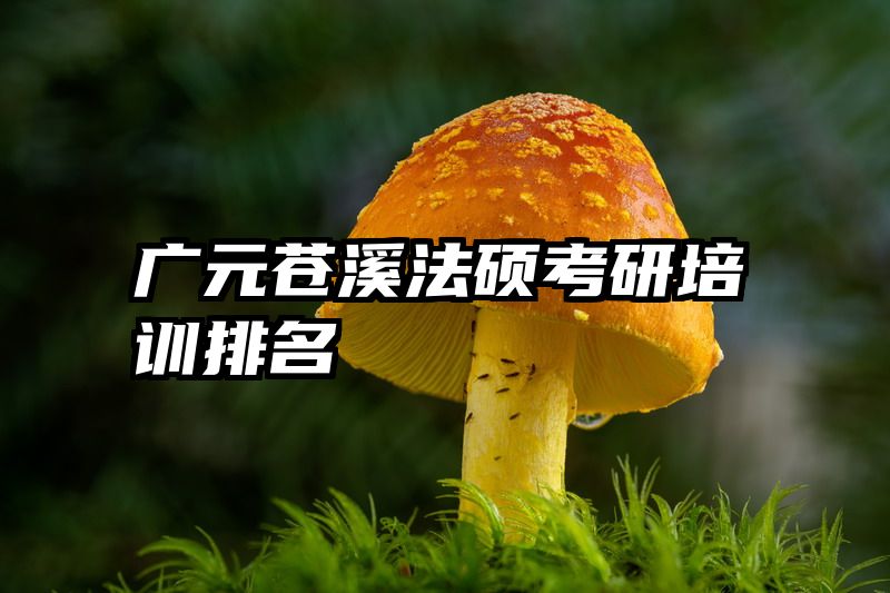 广元苍溪法硕考研培训排名