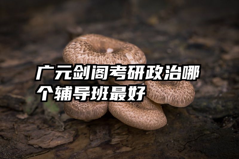 广元剑阁考研政治哪个辅导班最好