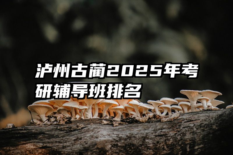 泸州古蔺2025年考研辅导班排名