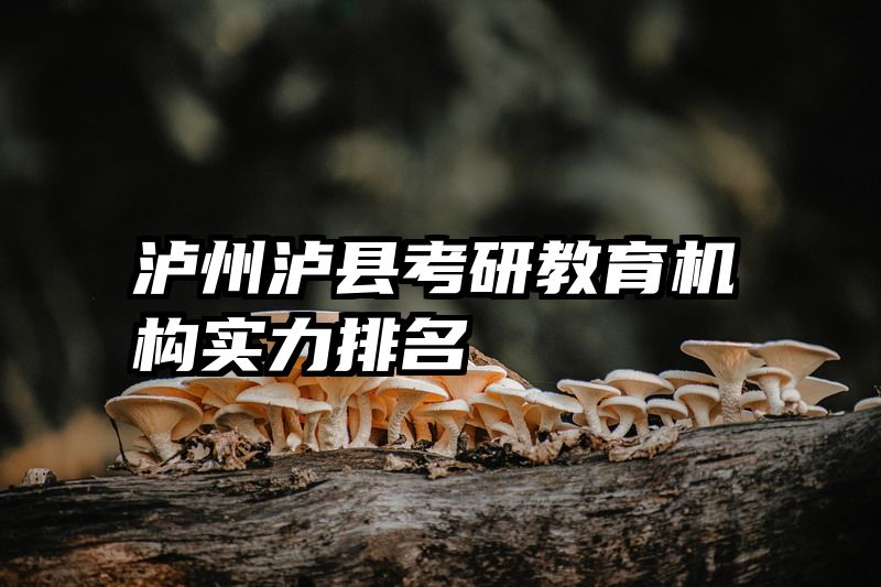 泸州泸县考研教育机构实力排名