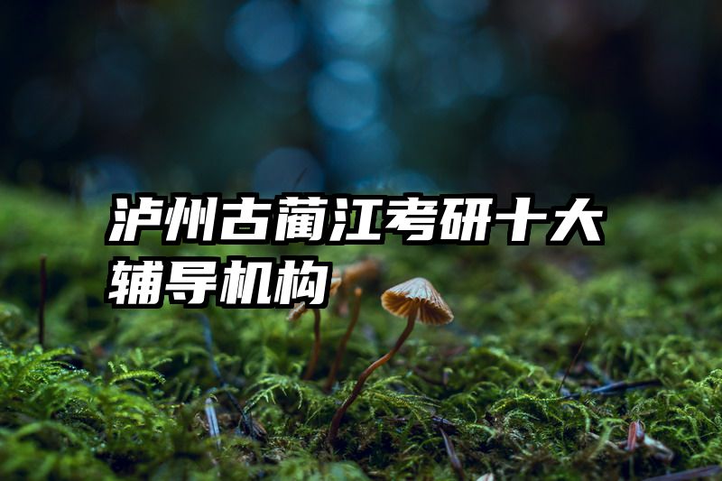 泸州古蔺江考研十大辅导机构