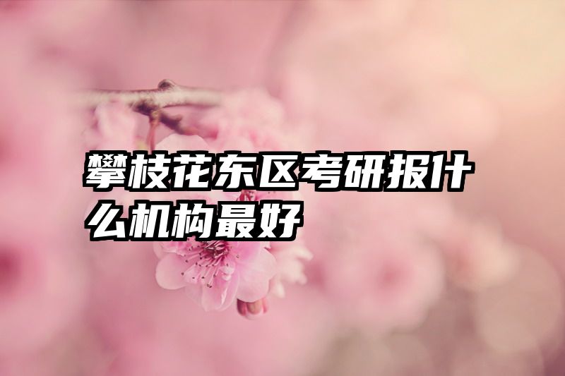 攀枝花东区考研报什么机构最好