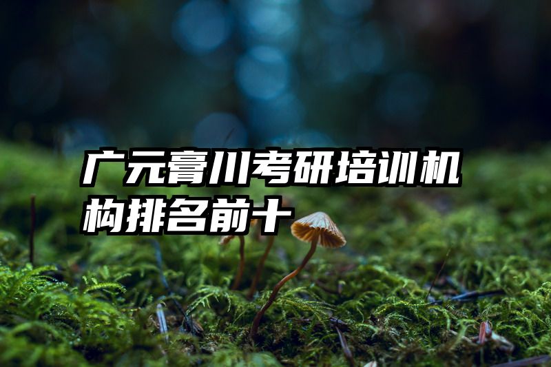 广元膏川考研培训机构排名前十