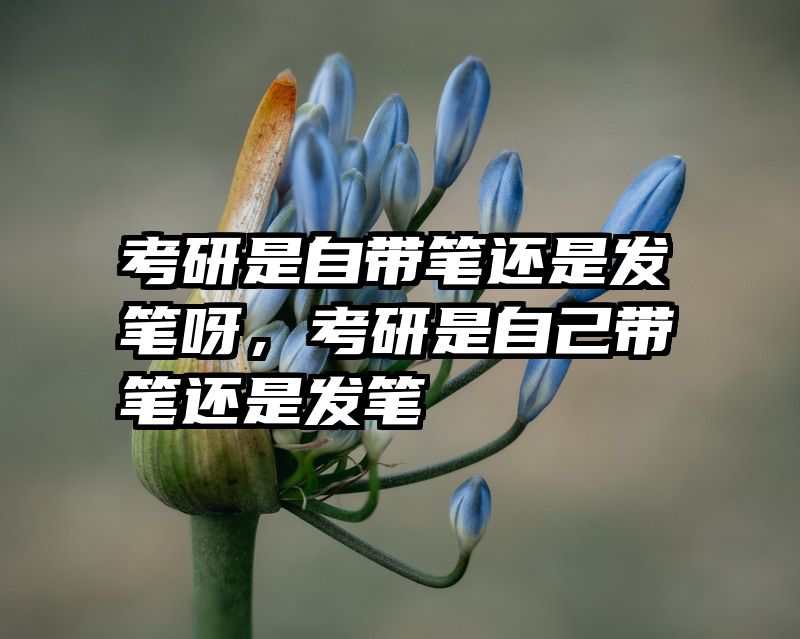 考研是自带笔还是发笔呀，考研是自己带笔还是发笔