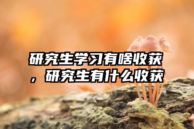 研究生学习有啥收获，研究生有什么收获