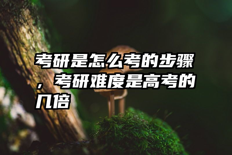 考研是怎么考的步骤，考研难度是高考的几倍