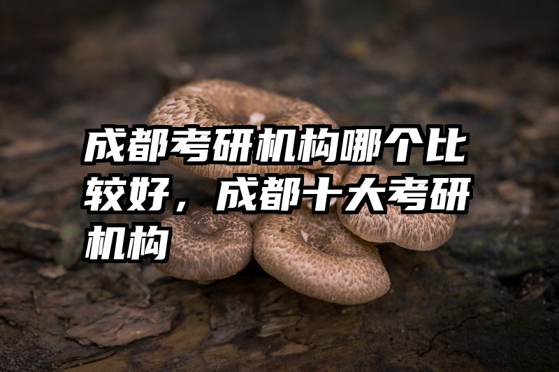 成都考研机构哪个比较好，成都十大考研机构