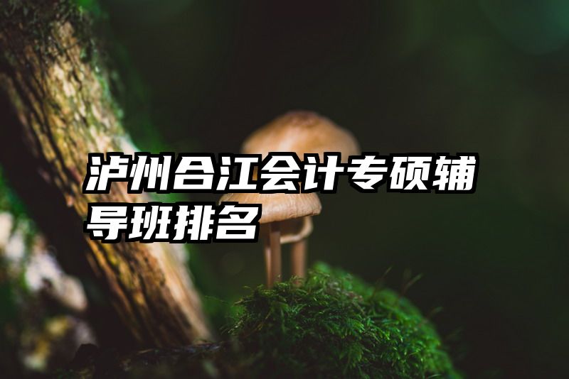 泸州合江会计专硕辅导班排名