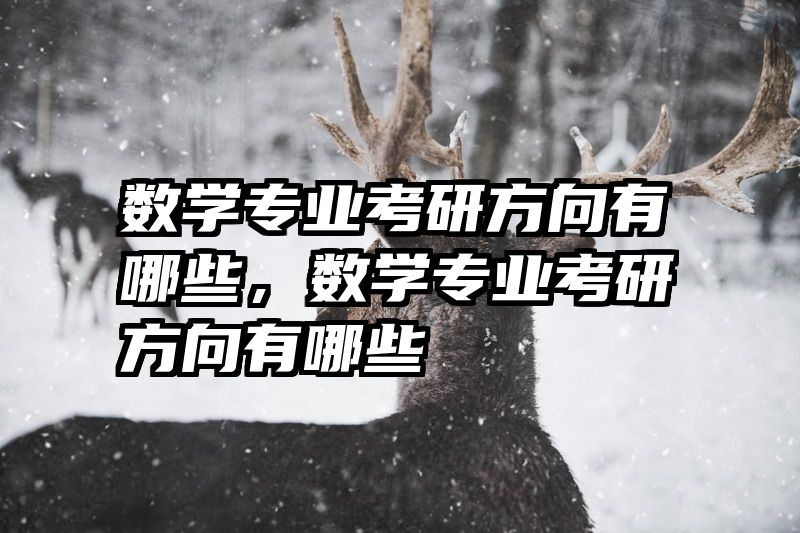 数学专业考研方向有哪些，数学专业考研方向有哪些