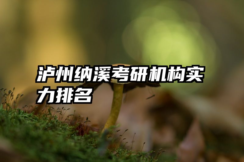 泸州纳溪考研机构实力排名