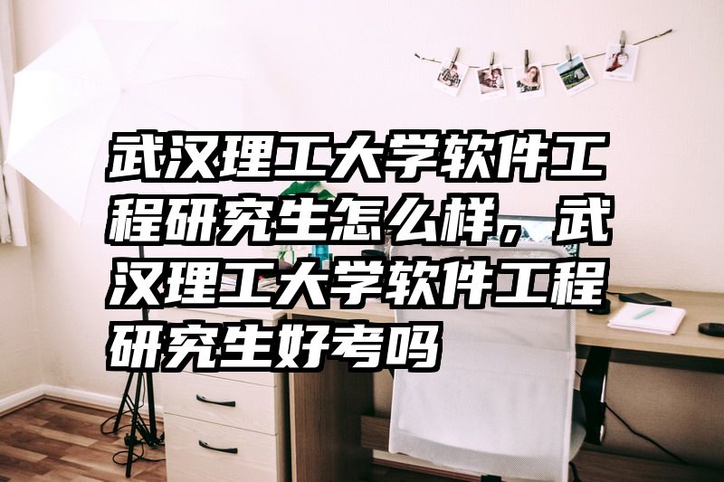 武汉理工大学软件工程研究生怎么样，武汉理工大学软件工程研究生好考吗