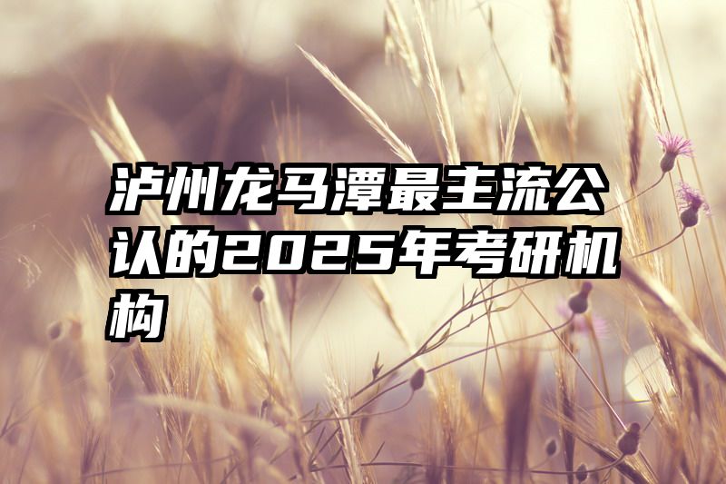 泸州龙马潭最主流公认的2025年考研机构