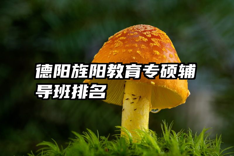 德阳旌阳教育专硕辅导班排名