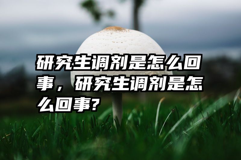 研究生调剂是怎么回事，研究生调剂是怎么回事?