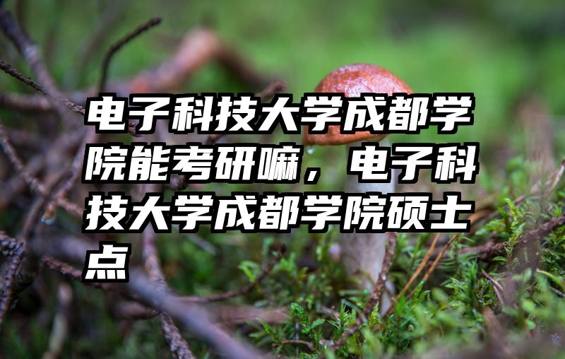 电子科技大学成都学院能考研嘛，电子科技大学成都学院硕士点