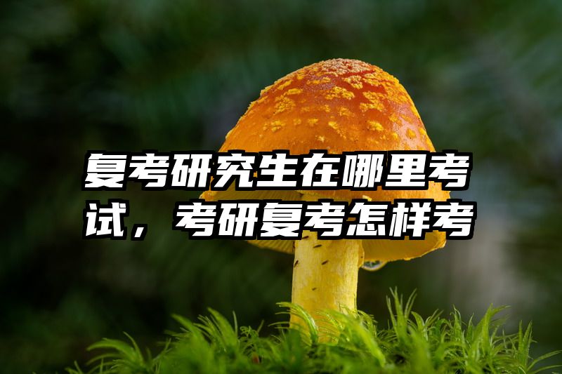 复考研究生在哪里考试,考研复考怎样考