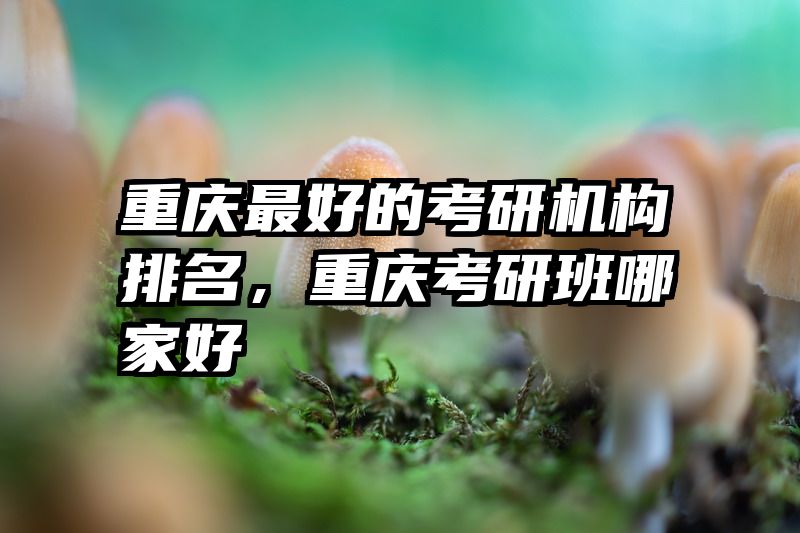 重庆最好的考研机构排名,重庆考研班哪家好