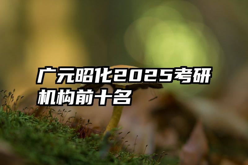 广元昭化2025考研机构前十名