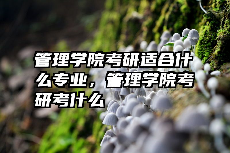 管理学院考研适合什么专业，管理学院考研考什么