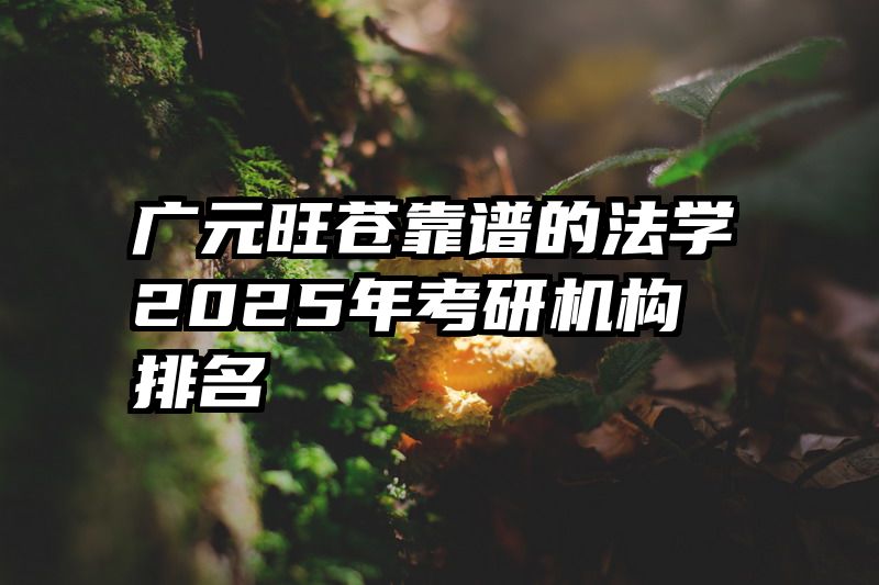 广元旺苍靠谱的法学2025年考研机构排名