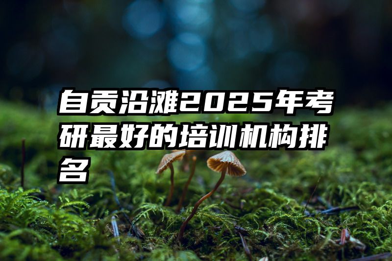 自贡沿滩2025年考研最好的培训机构排名