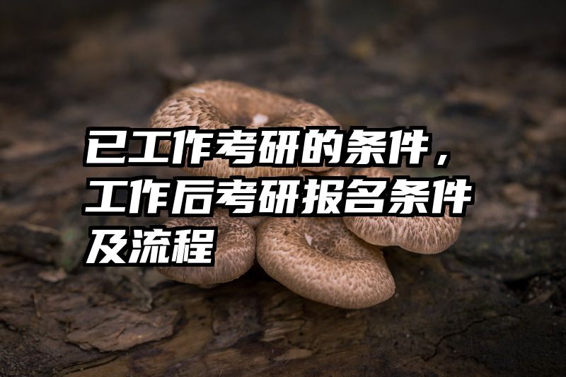 已工作考研的条件，工作后考研报名条件及流程
