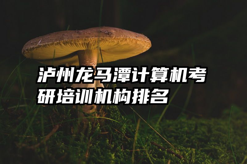 泸州龙马潭计算机考研培训机构排名