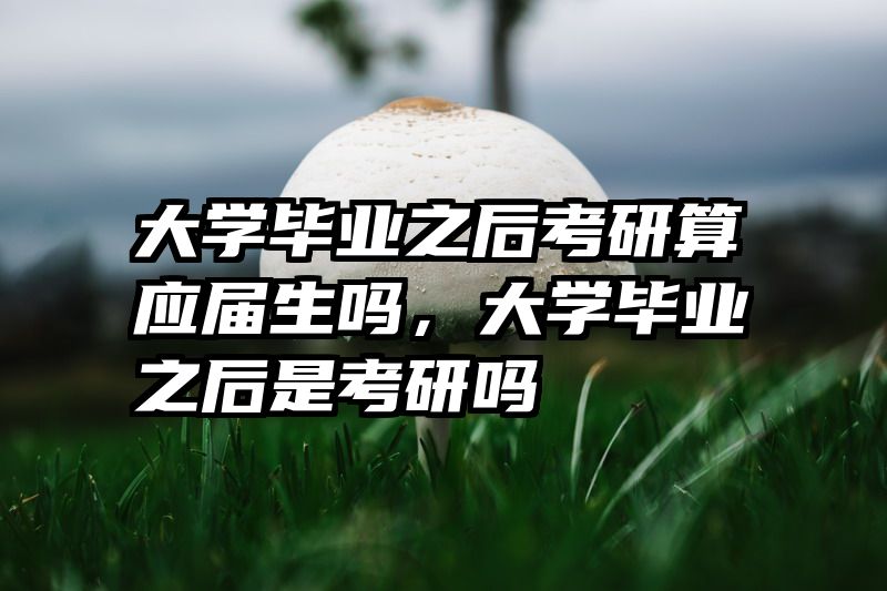 大学毕业之后考研算应届生吗，大学毕业之后是考研吗
