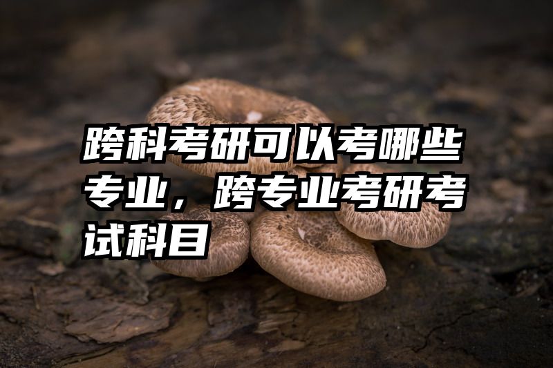 跨科考研可以考哪些专业,跨专业考研考试科目