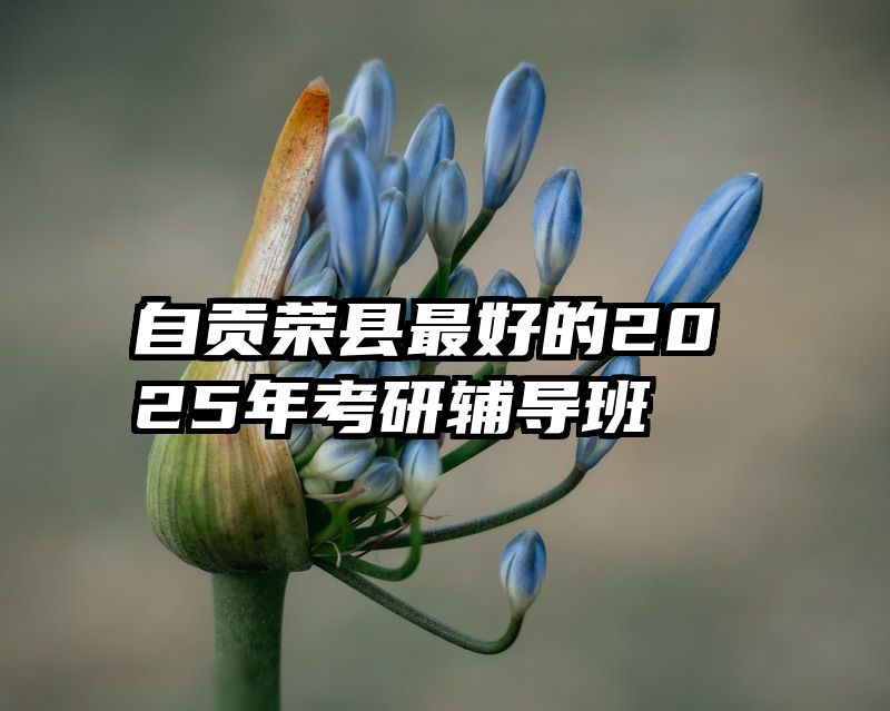 自贡荣县最好的2025年考研辅导班