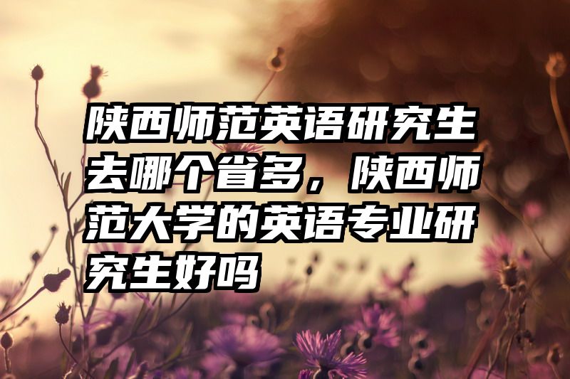 陕西师范英语研究生去哪个省多,陕西师范大学的英语专业研究生好吗