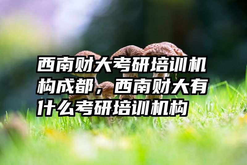 西南财大考研培训机构成都,西南财大有什么考研培训机构