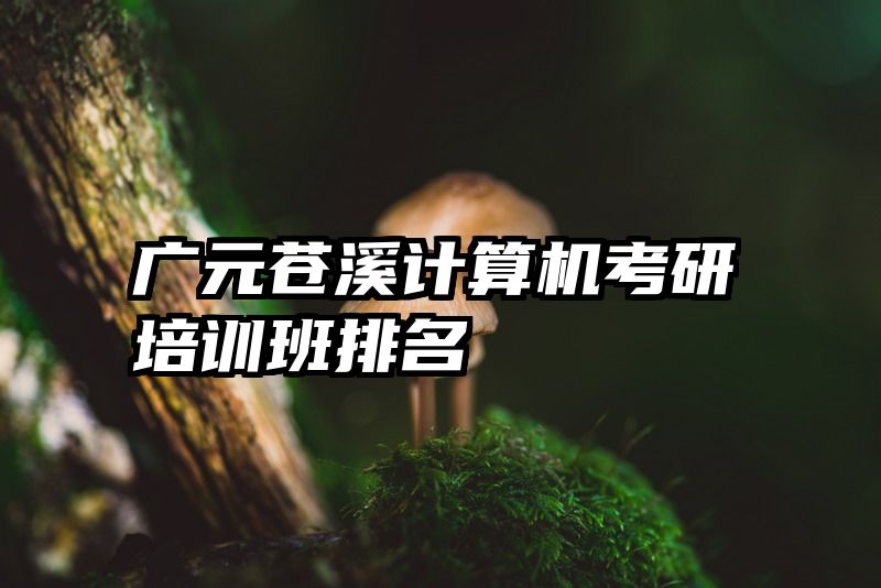广元苍溪计算机考研培训班排名