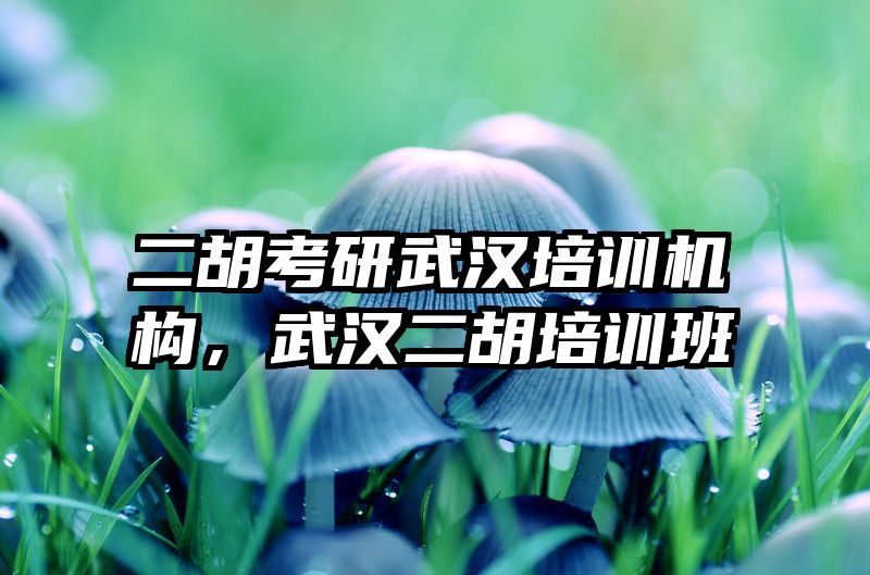 二胡考研武汉培训机构,武汉二胡培训班