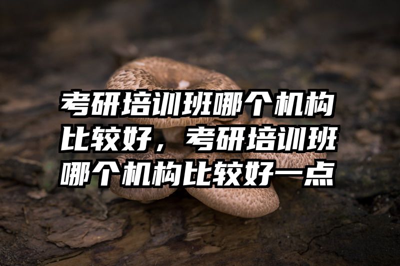 考研培训班哪个机构比较好，考研培训班哪个机构比较好一点