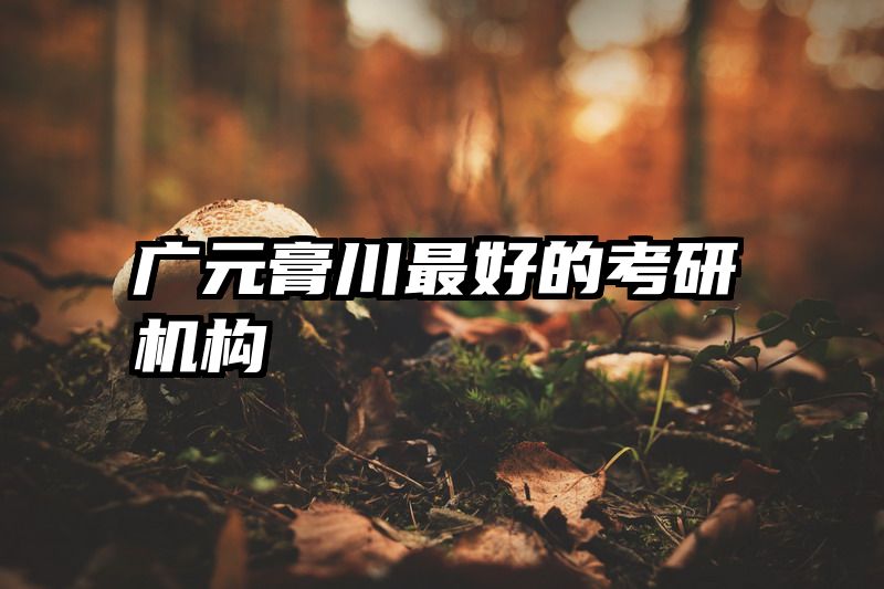 广元膏川最好的考研机构