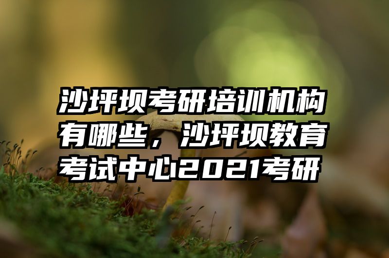 沙坪坝考研培训机构有哪些，沙坪坝教育考试中心2021考研