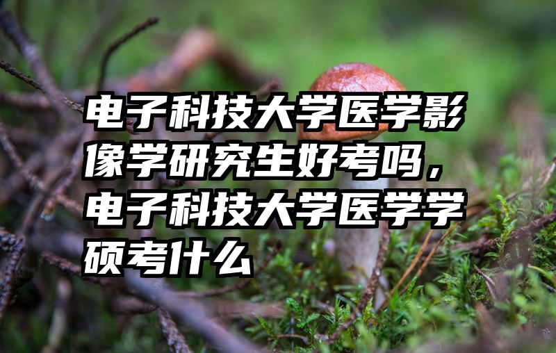 电子科技大学医学影像学研究生好考吗,电子科技大学医学学硕考什么