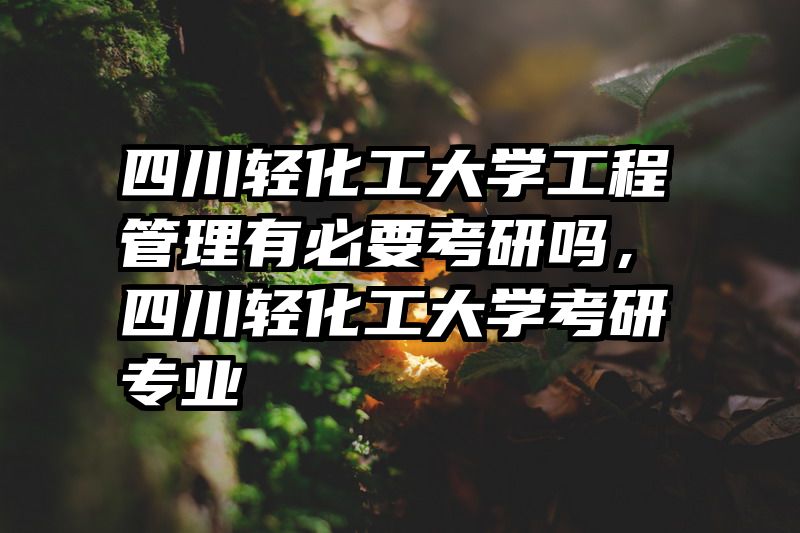 四川轻化工大学工程管理有必要考研吗,四川轻化工大学考研专业