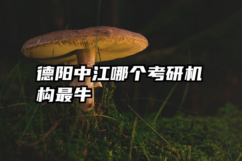 德阳中江哪个考研机构最牛